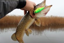 Photo of Ловля рыбы на воблеры и блесны