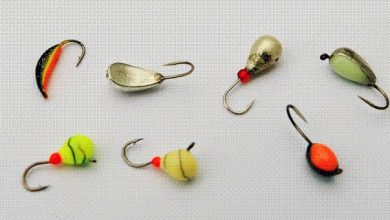 Photo of Приманки для ловли на мормышку