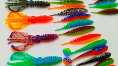 Photo of Эффективные приманки на щуку