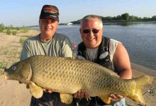 Photo of Донная рыбалка на реке