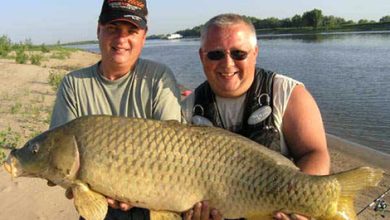 Photo of Донная рыбалка на реке