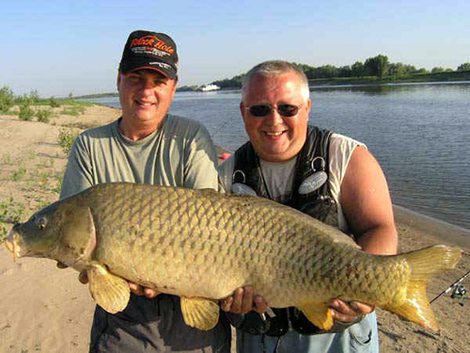 Photo of Донная рыбалка на реке