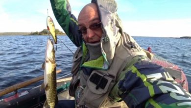 Photo of Советы начинающим поплавочникам
