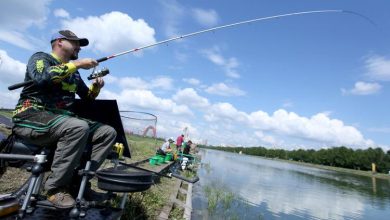 Photo of Лучшие места для поплавочной рыбалки