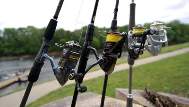 Photo of Как выбрать удочку для поплавочной рыбалки