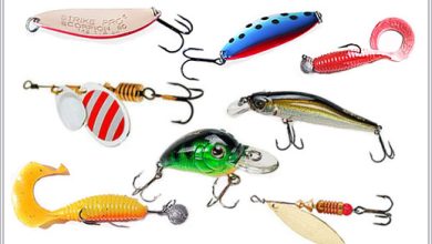 Photo of Топовые блесны для спиннинга