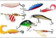 Photo of Секреты выбора рыболовных приманок