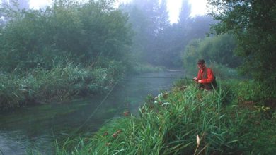 Photo of Как сделать прикормку более привлекательной