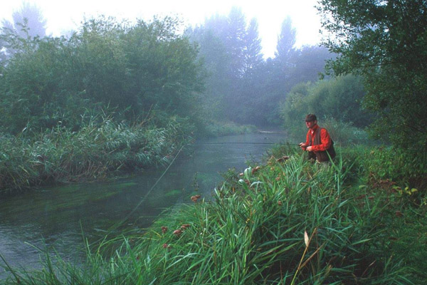 Photo of Как сделать прикормку более привлекательной