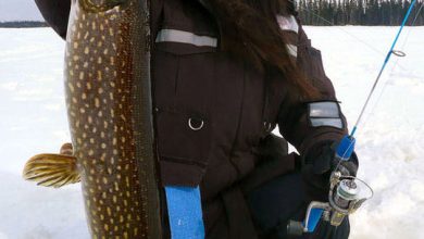 Photo of Лучшие блесны для ловли