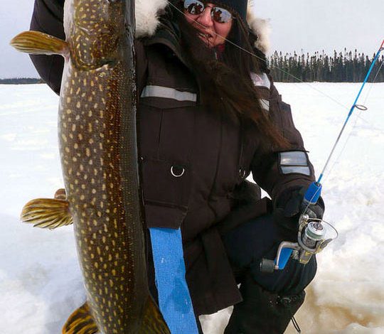 Photo of Лучшие блесны для ловли