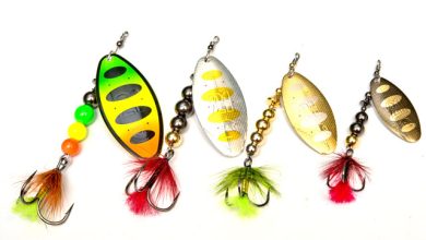Photo of Как выбрать блесну для рыбалки